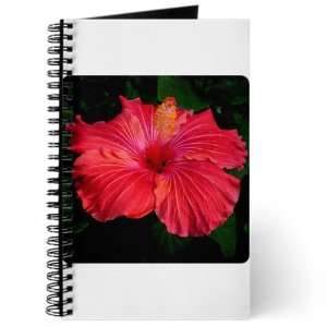 Journal (Diary) with Red Hibiscus Bloom on Cover
