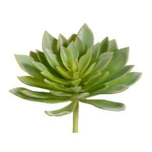  Faux 7.5 Echeveria Plant Green (Pack of 6): Patio, Lawn 