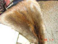 Cased/tanned Big beaver pelt wild water animal fur/skin  