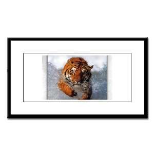  Small Framed Print Bengal Tiger in Water: Everything Else