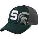 Michigan State Spartans Hat