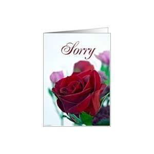  Sorry. Classic single red rose Card Health & Personal 