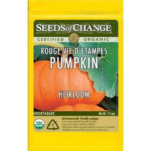   Certified Organic Rouge Vif DEtampes Pumpkin Patio, Lawn & Garden