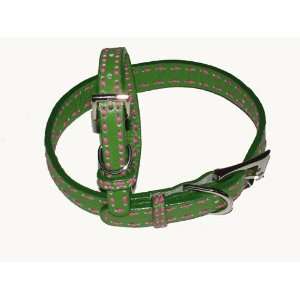  A Pets World 03011303 12 Leather Dog Collar  Green Hot Pink 