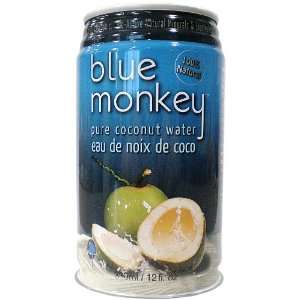 Blue Monkey 100% Coconut Water/juices, 17.60 Ounce (Pack of 24)