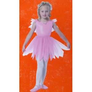 Girls Fairy Princess Costume Small 4 6: Office Products
