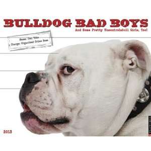  Bulldog Bad Boys 2013 Wall Calendar: Office Products