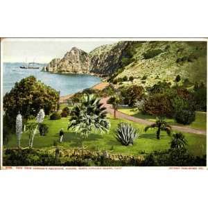  Reprint Santa Catalina Island CA   View From Bannings 