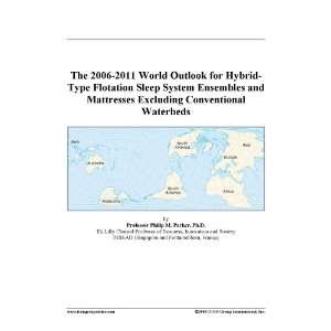 The 2006 2011 World Outlook for Hybrid Type Flotation Sleep System 