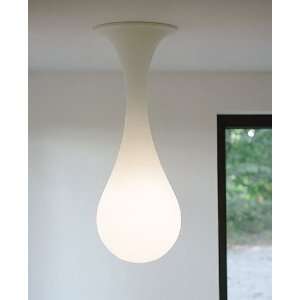  Drop 1 ceiling light