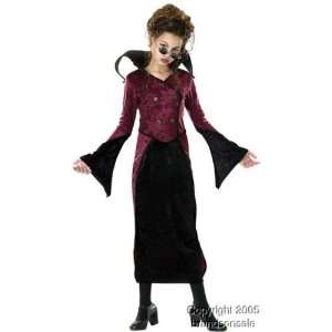 Childs Baroness Costume (SizeLarge 12 14) Toys & Games