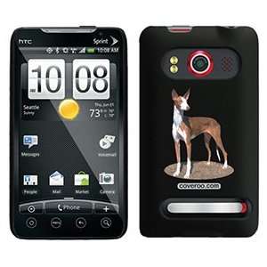  Ibizan Hound on HTC Evo 4G Case  Players & Accessories