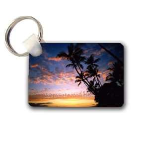  Scenic Palm Trees Ocean Keychain Key Chain Great Unique 