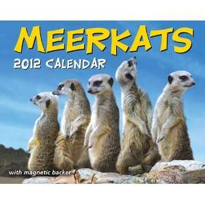  Meerkats 2012 Mini Desk Calendar: Office Products