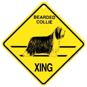  Bearded Collie Xing caution Crossing Sign dog Gift: Home 