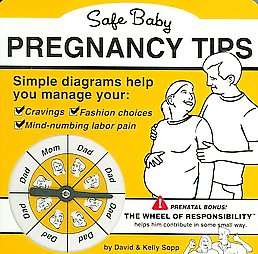 Safe Baby Pregnancy Tips by David Sopp and Kelly Sopp 2006, Hardcover 