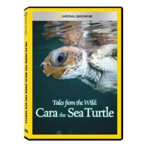   Tales from the Wild Cara the Sea Turtle DVD Exclusive Toys & Games