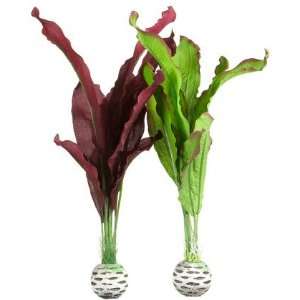  biOrb Silk Plant Pack   Purple/Green   Medium (Quantity of 