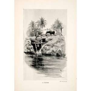  Print Nile Valley Derr Egypt Egyptian Sakiyeh Water Well Wheel River 
