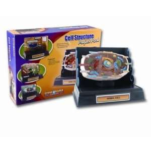   Scenics Scene A Rama Cell Structure Project Pack Toys & Games