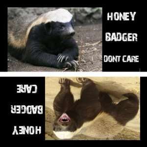  Honey Badger Care/Dont Care Magnet
