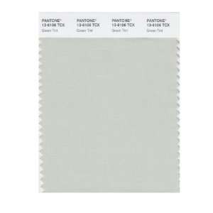   13 6106X Color Swatch Card, Green Tint:  Home Improvement