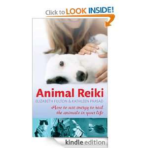 Animal Reiki How to use energy to heal the animals in your life 