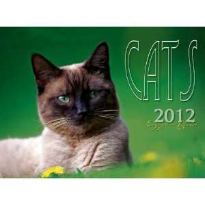  Cats 2012 Wall Calendar