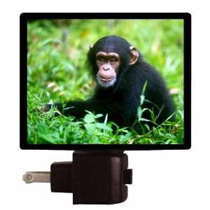   Light   Monkey   African Zoo Animal LED NIGHT LIGHT