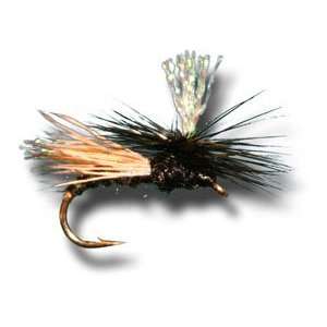  Krystal Caddis   Black Fly Fishing Fly
