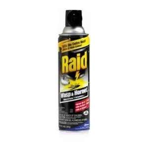  Raid Wasp & Hornet Killer Spray 14oz: Patio, Lawn & Garden