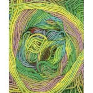  Noro Taiyo Sock Yarn 10 Lime/Aqua/Salmon Arts, Crafts 