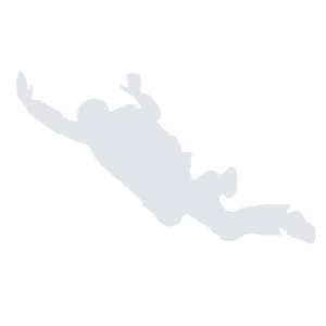 Skydiving FF Freefall Belly Decal Sticker   Light Gray 