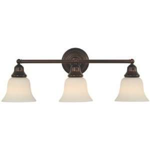  Dolan Designs 493 30 Brockport 3 Light Bathroom Lights in 