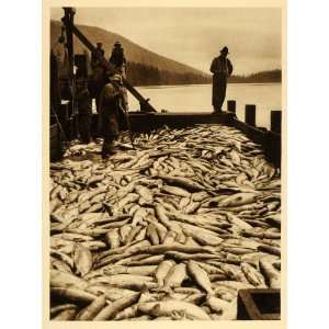  1926 Salmon Catch Fishermen British Columbia Canada 