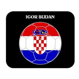  Igor Budan (Croatia) Soccer Mouse Pad: Everything Else