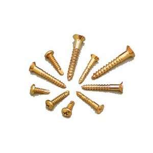  Brass Plated 1 1/2inch Large Wood Screws: Home Improvement