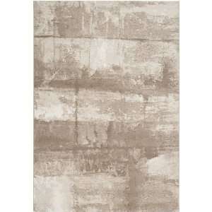  Surya Contempo CPO 3701 7 10 x 10 Area Rug: Home 