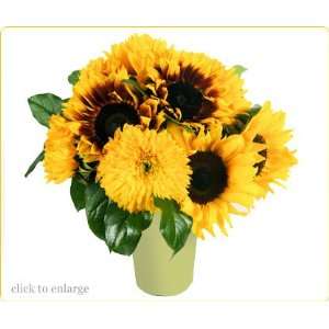 California Sunshine Sunflowers  Grocery & Gourmet Food