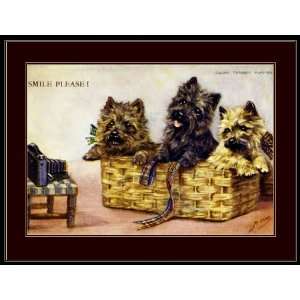    Picture Print Cairn Terrier Puppy Dogs Art: Everything Else