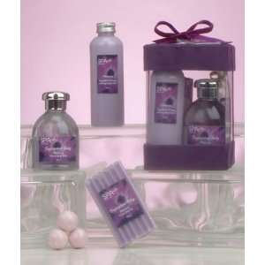  Sugarplum Collection Set