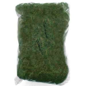  100g Natural Moss, Artifical Plant Decoration Accessory 