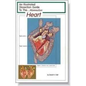   Guide Book to the Mammal Heart  Industrial & Scientific