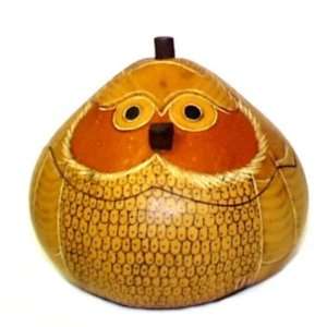  Owl Gourd Box ~ 5.5 Inch: Home & Kitchen