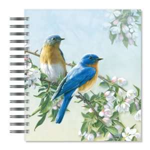  ECOeverywhere Orchard Bluebirds Picture Photo Album, 72 