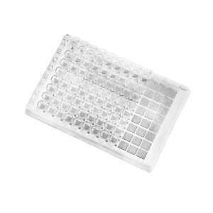   Egg Crate Strip Holder, Without Lid, Non Sterile (Case of 20) 
