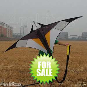   Kite with tail/ Light wind single line kite/carbon frame/quality kites