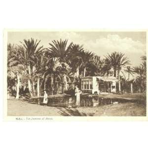   Vintage Postcard The Fountain of Moses Suez Egypt 