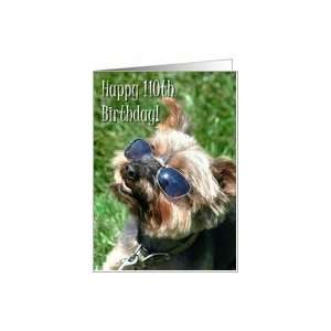  Happy 110th Birthday Yorkshire Terrier with sunglasses 