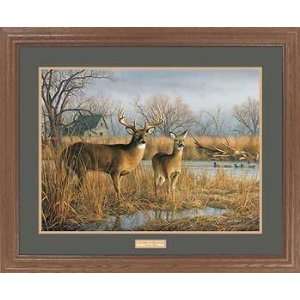    Whitetail Deer and Mallards Framed Premium Edition